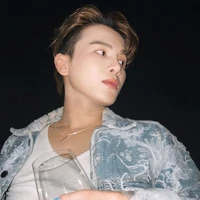 Phạm Đình Thái Ngân