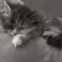 °Hệ Thống Cứu Rỗi° [Xiney]