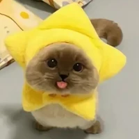 toi