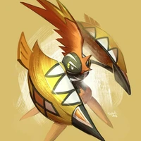 Tapu-Koko