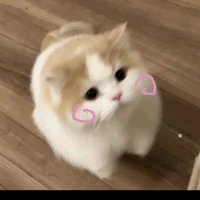 su