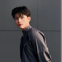Đoàn Thế Lân - Grey -D