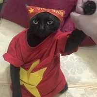 All trừ ai thì trừ