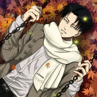 levi ackerman