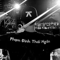 Phạm Đình Thái Ngân