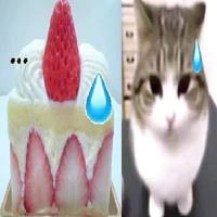 meo iu