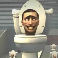 stupid toilet