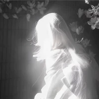 『 Haan [ Hệ Thống ] 』