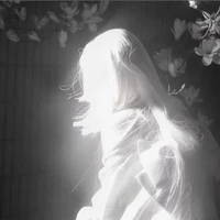 『 Haan [ Hệ Thống ] 』