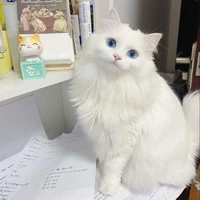 Hệ Thống Chó Má :))) ( Mint )