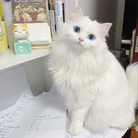 Hệ Thống Chó Má :))) ( Mint )