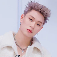 Dương Domic