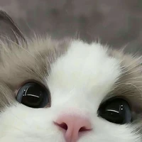 Kita