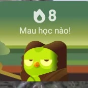 quản gia doo