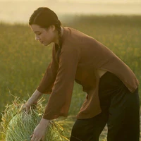 Phượng