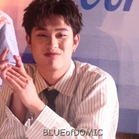 dương domic