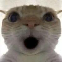 T/g<3