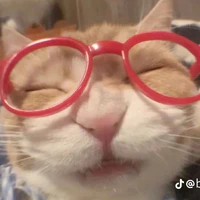 vợ nhỏ của pw🫰