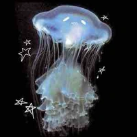 Jellyfish 23