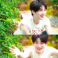 Đinh Trình Hâm