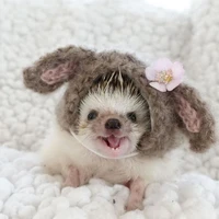 Nhím bay tới đâyyy=))