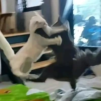 ???