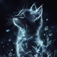 Hệ thống 603 「Tiểu Mao」