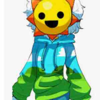 Mr Sun
