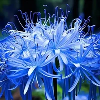 Nhóm xuyên không ( trừ ai thì trừ )