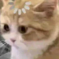 Đa nv nam