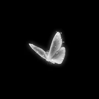 Tác giả trầm tính