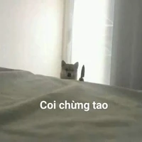 🌧️🌠 Qiin 🌠🌧️ [ Tg giả nè 😛]