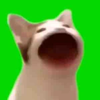 CHAT GPT