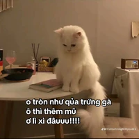 T/G siu lười~