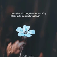 t/g