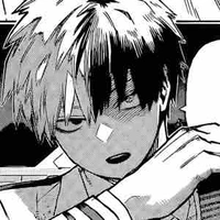 Todoroki Shoto