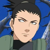 Shikamaru Nara