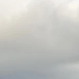 All