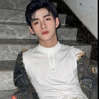 Hoàng Hùng(Gemini)