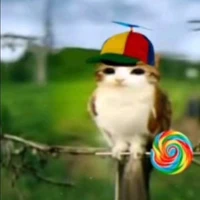 Tác giả là con lười