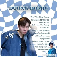 DƯƠNG DOMIC /hong biết tên thật nha /