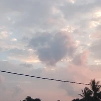 Mọi người
