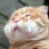Tác giả 