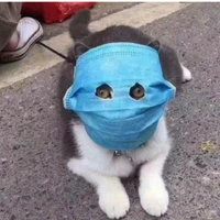con tác giả