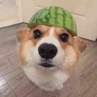 Tác giả không buồn