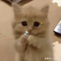 Tác Giả Nè Bây^^