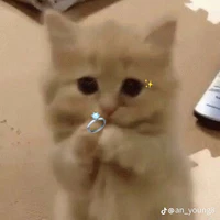 Tác Giả Nè Bây^^