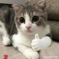 cả lớp