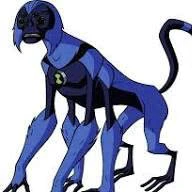 spider monkey
