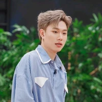 Dương domic